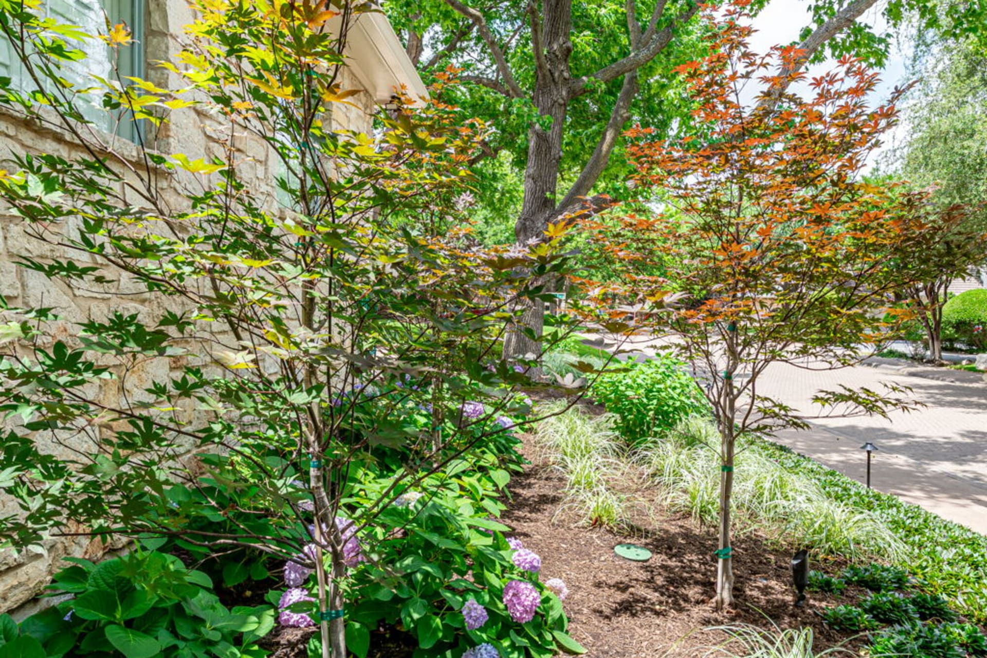 Outdoor Living in Preston Hollow, TX