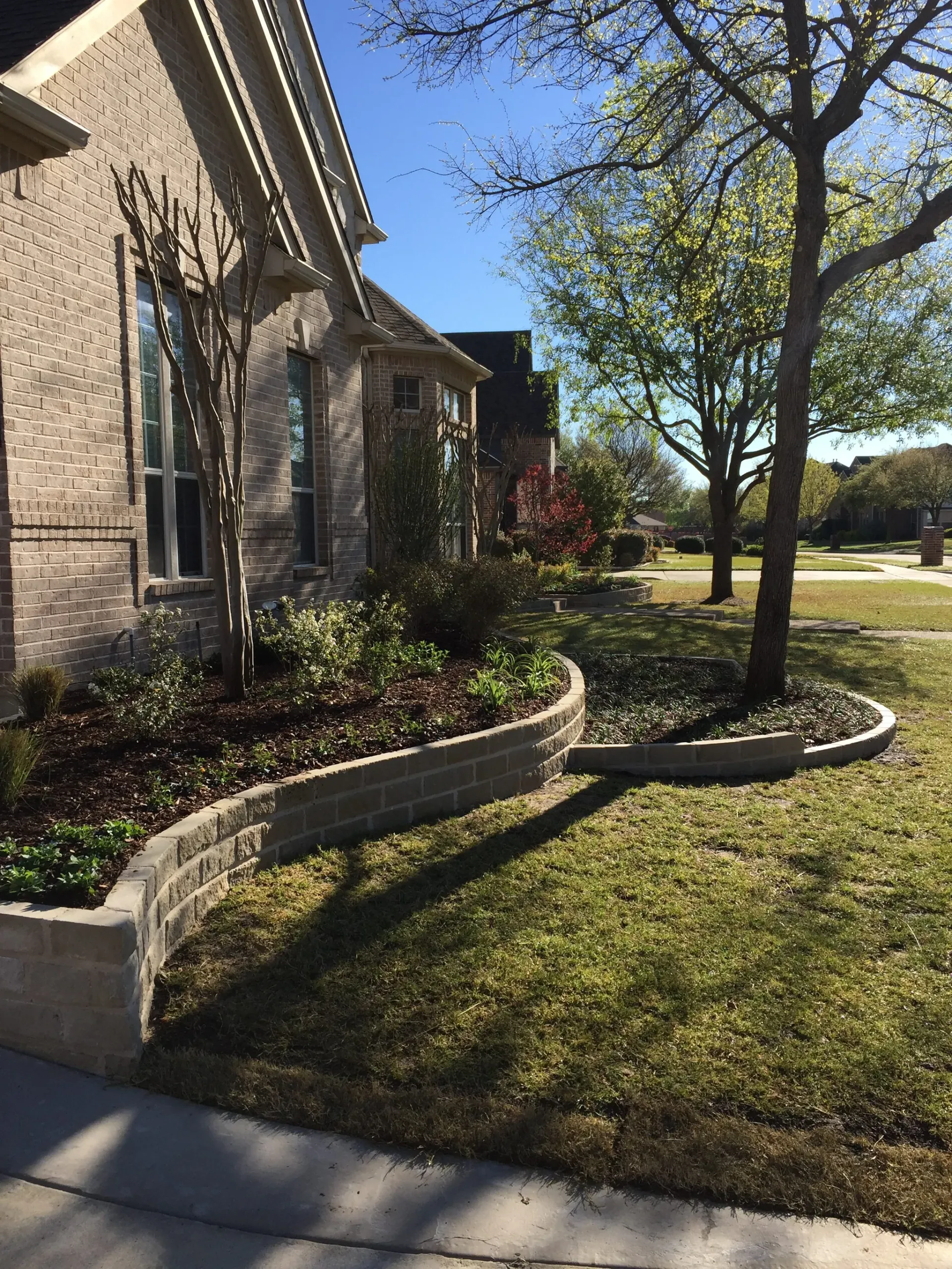 Front Landscaping — image 4