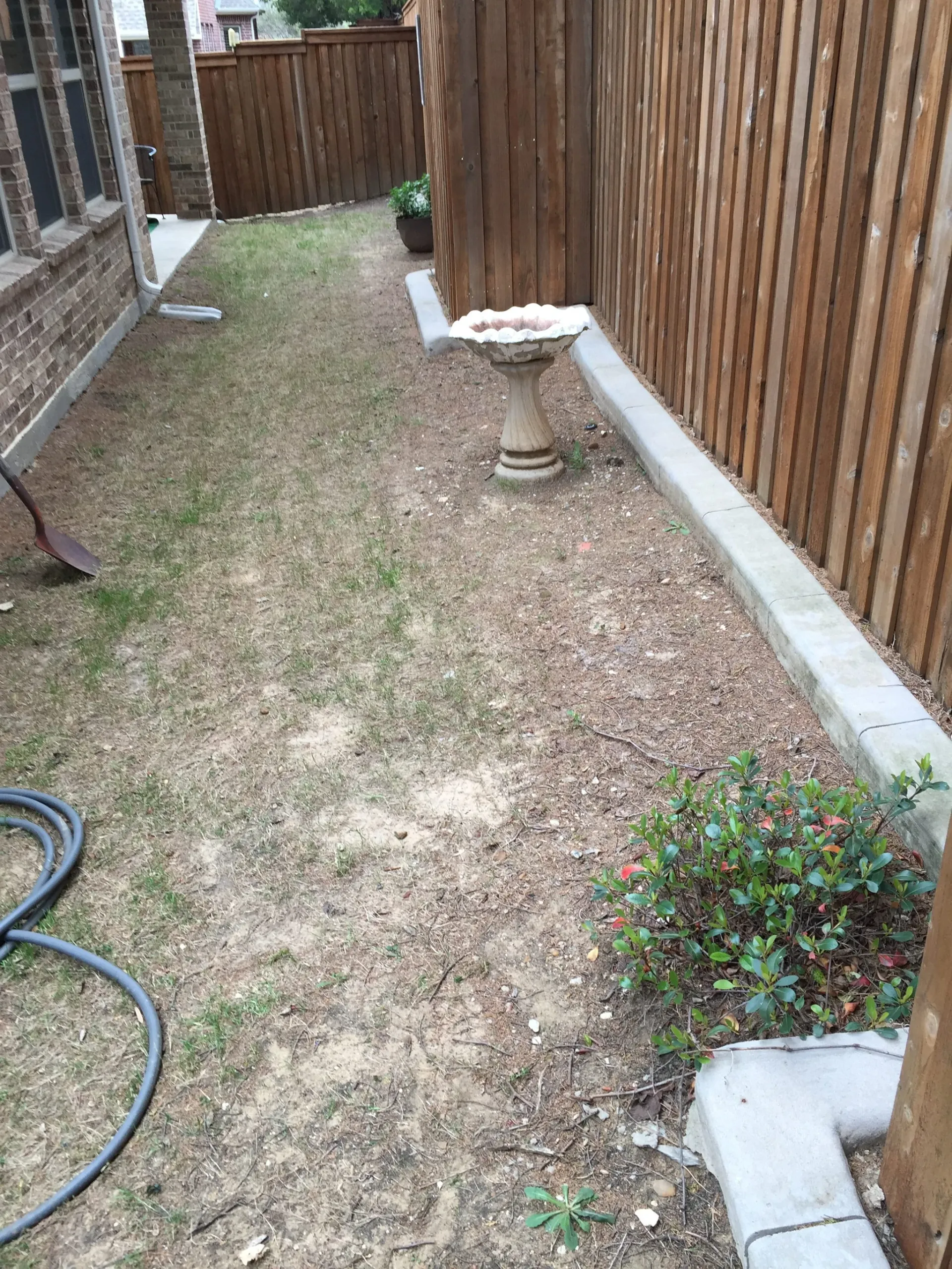 Backyard Patio & Landscape — image 4