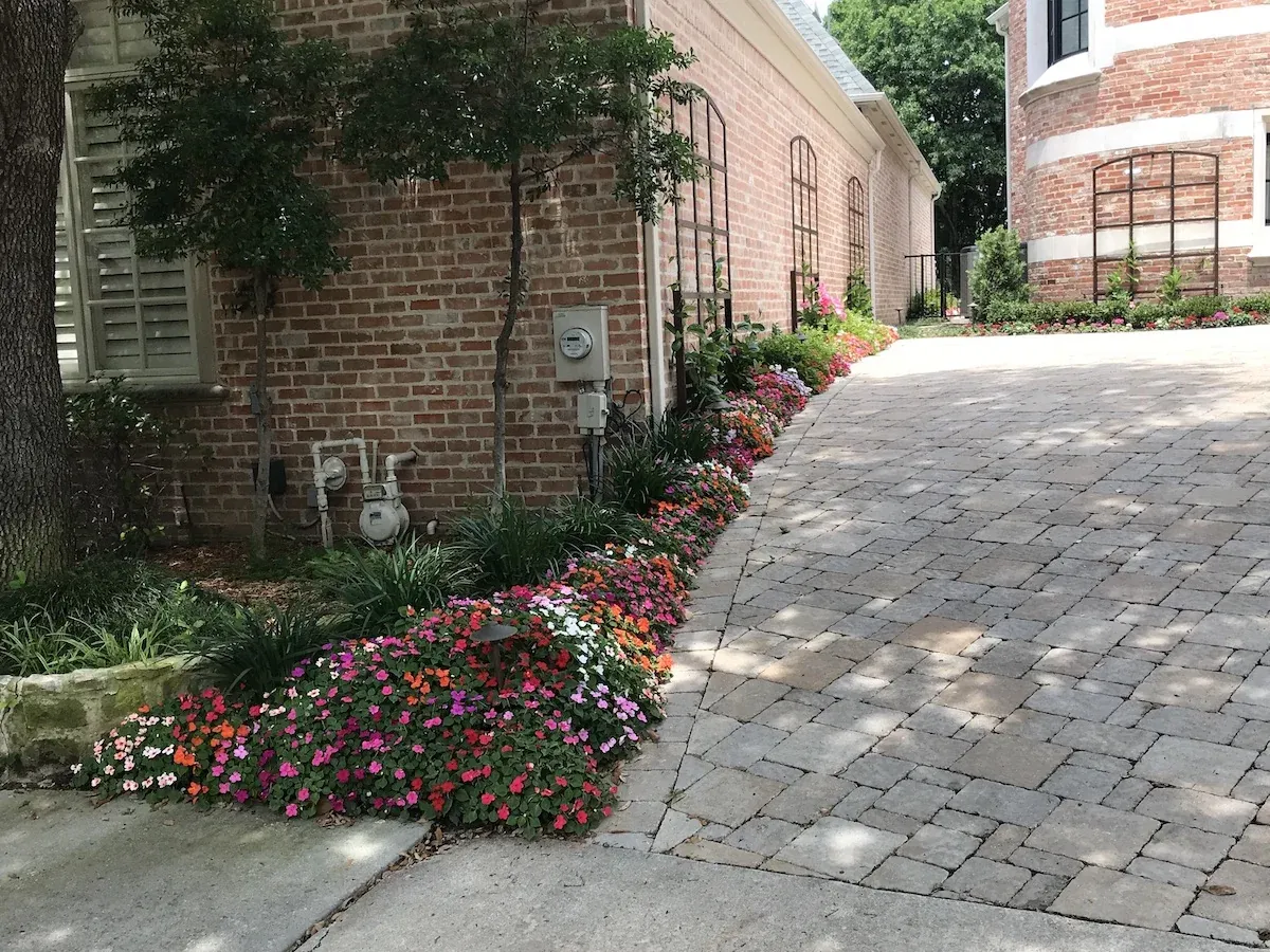 North Dallas Full Landscape Project — image 13