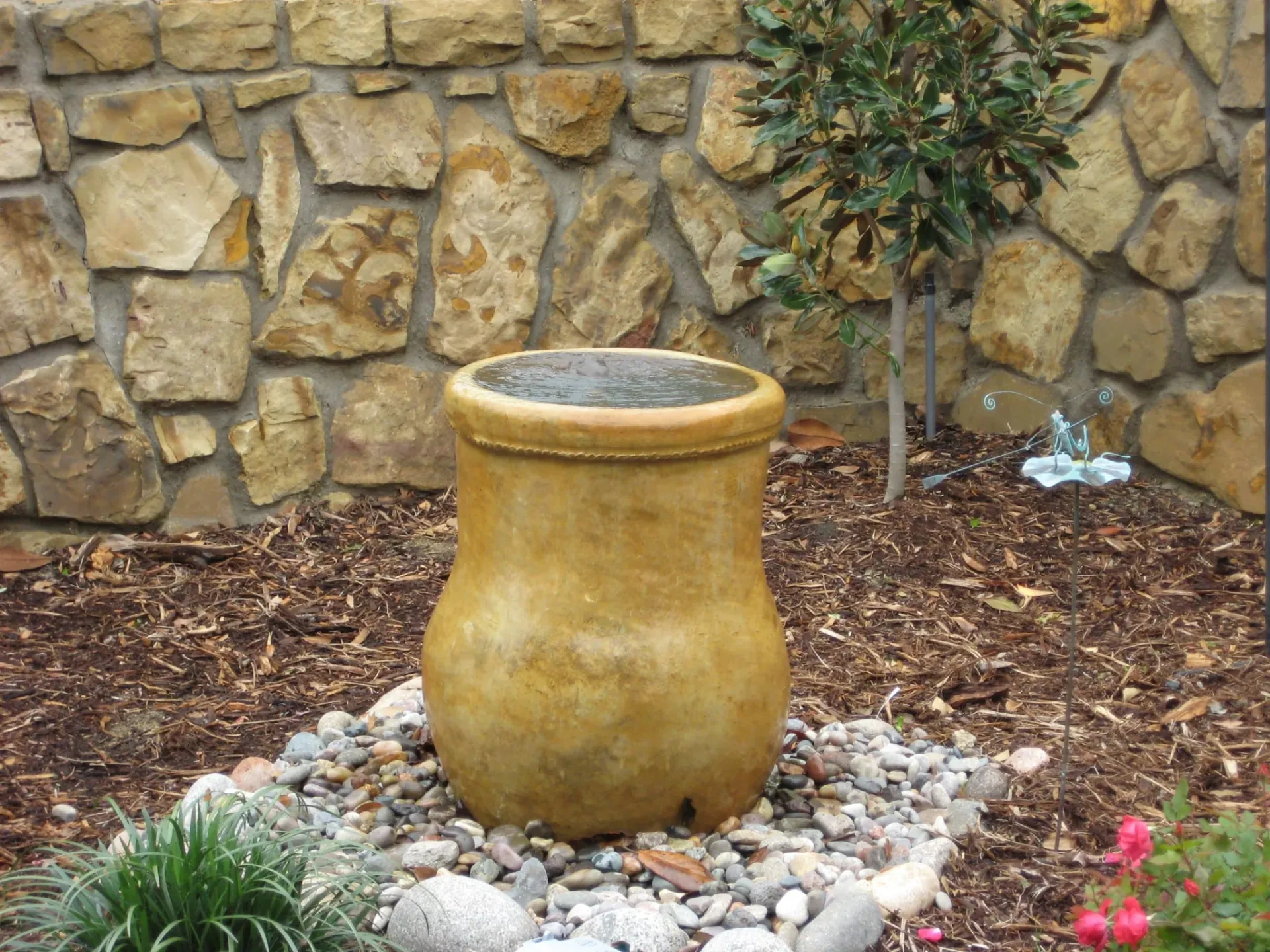 Frisco Lakes Backyard — image 6