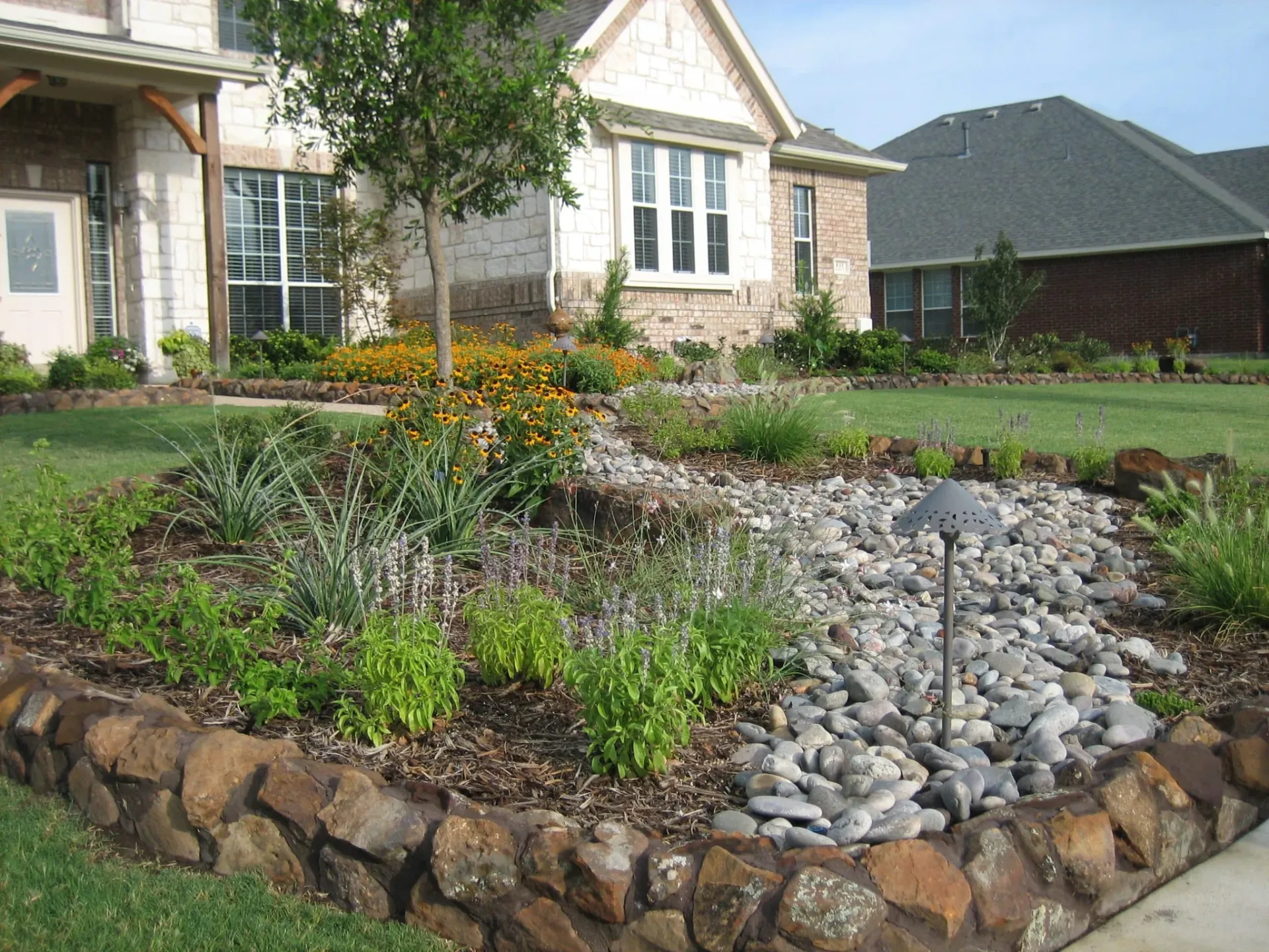Front Yard Landscape in Murphy — image 6