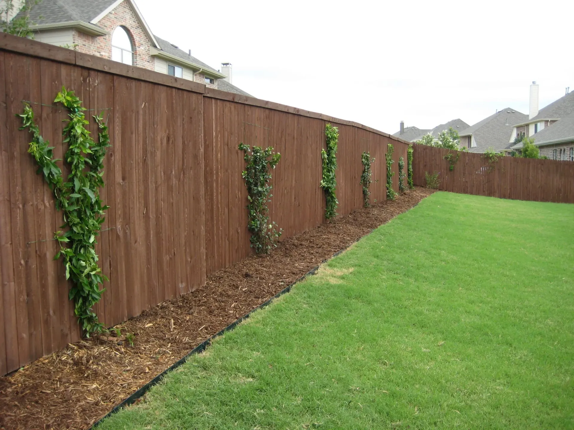 Front & Backyard Landscape — image 6