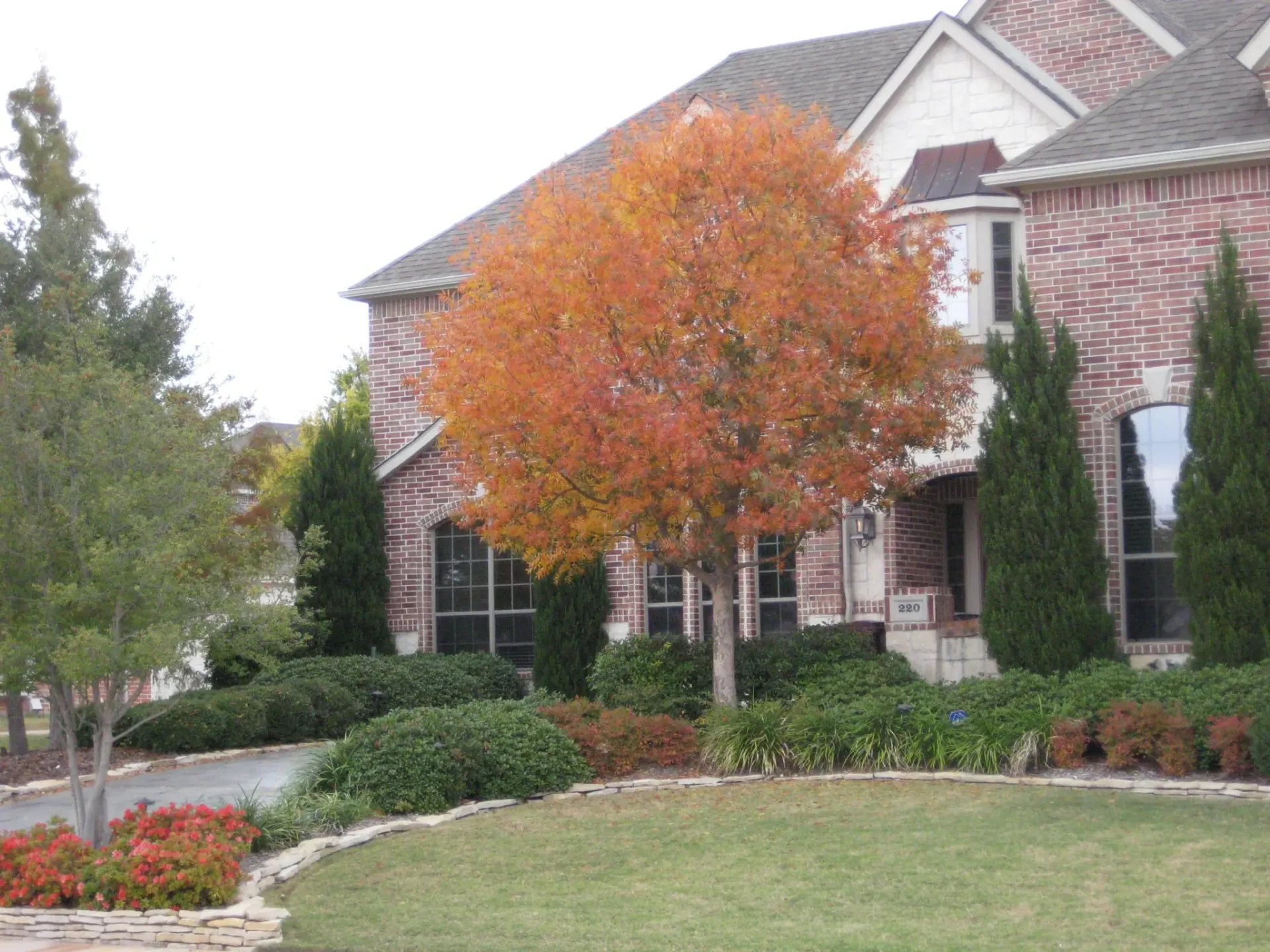 Front Landscape with Driveway — image 2