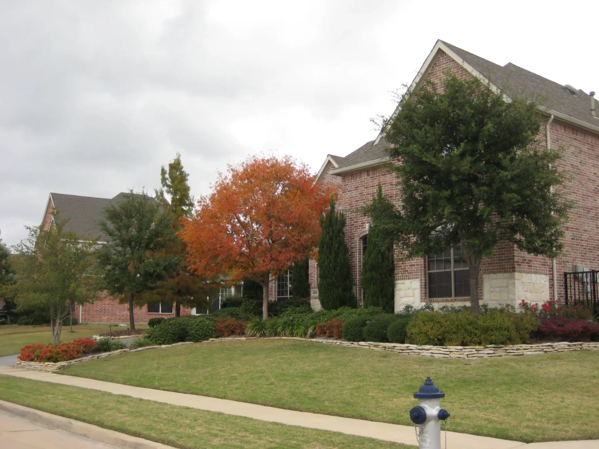 Front Landscape with Driveway — image 4