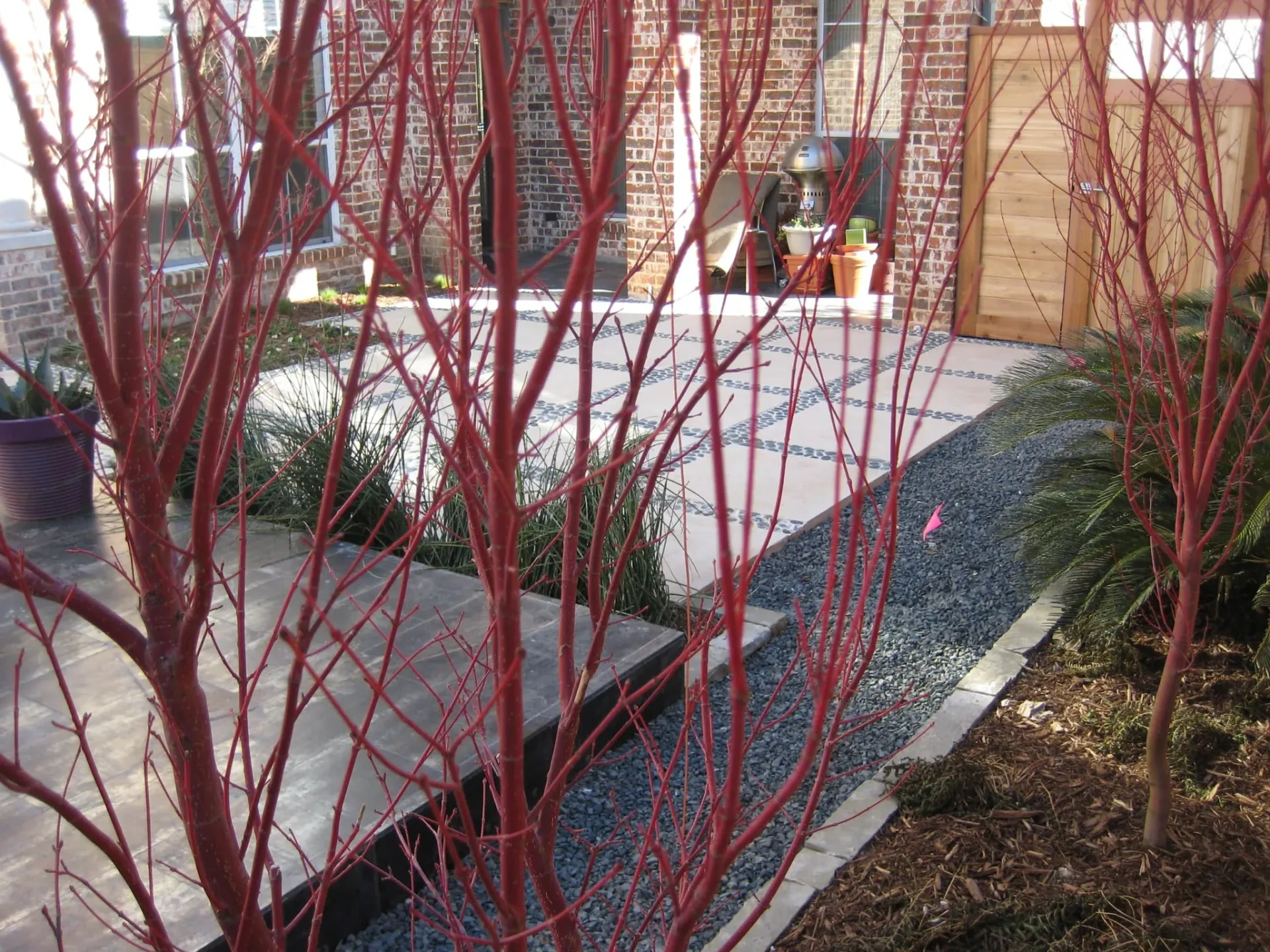Courtyard Landscape — image 15
