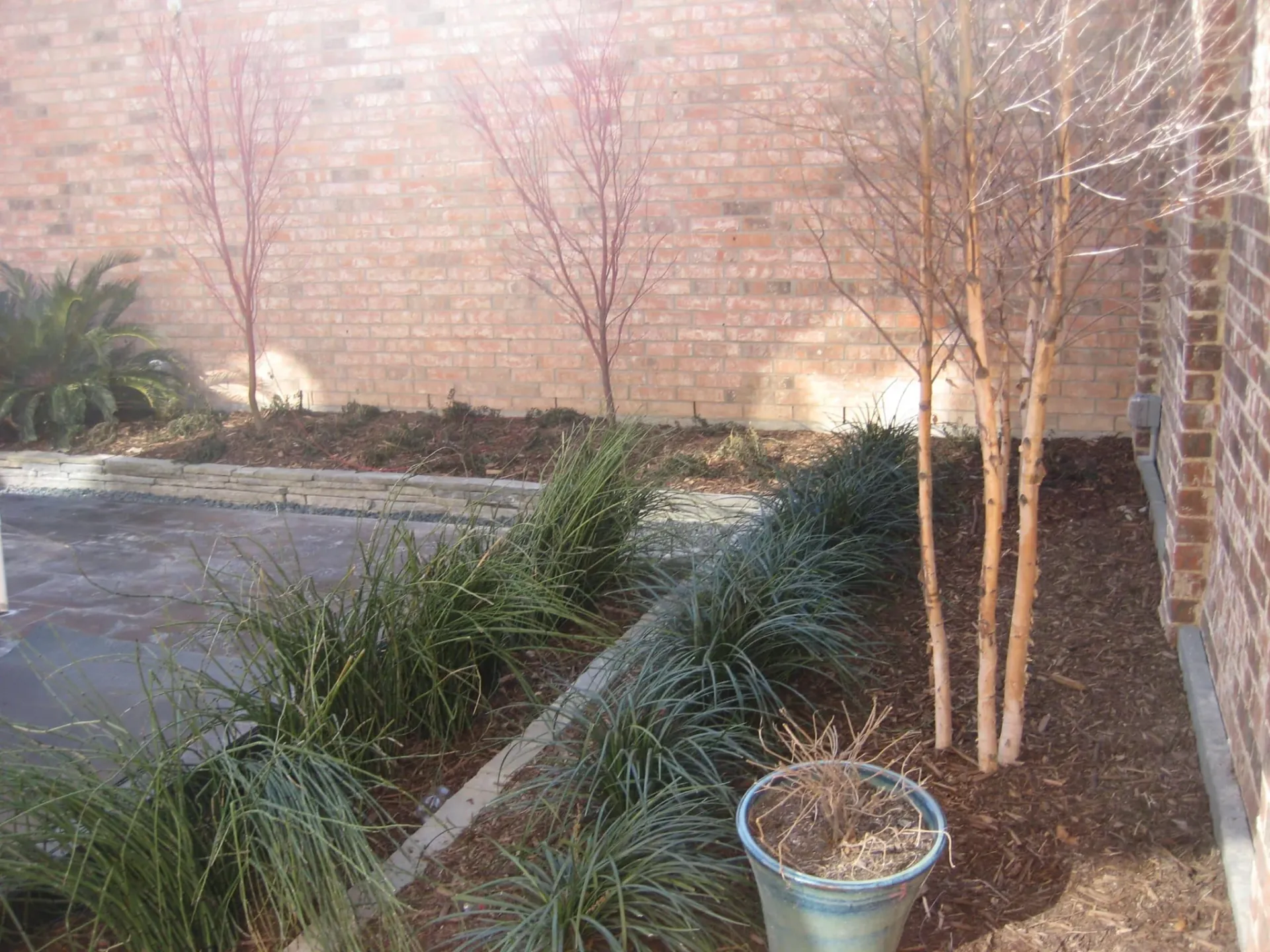 Courtyard Landscape — image 18