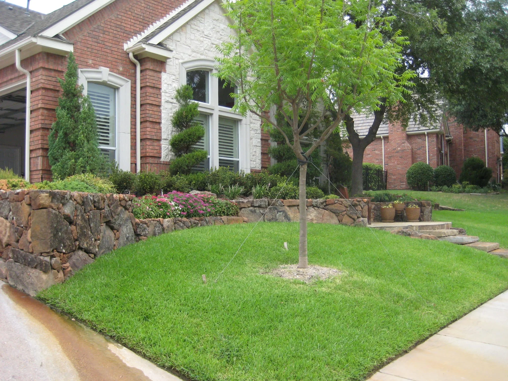 Stone Wall Landscape — image 4
