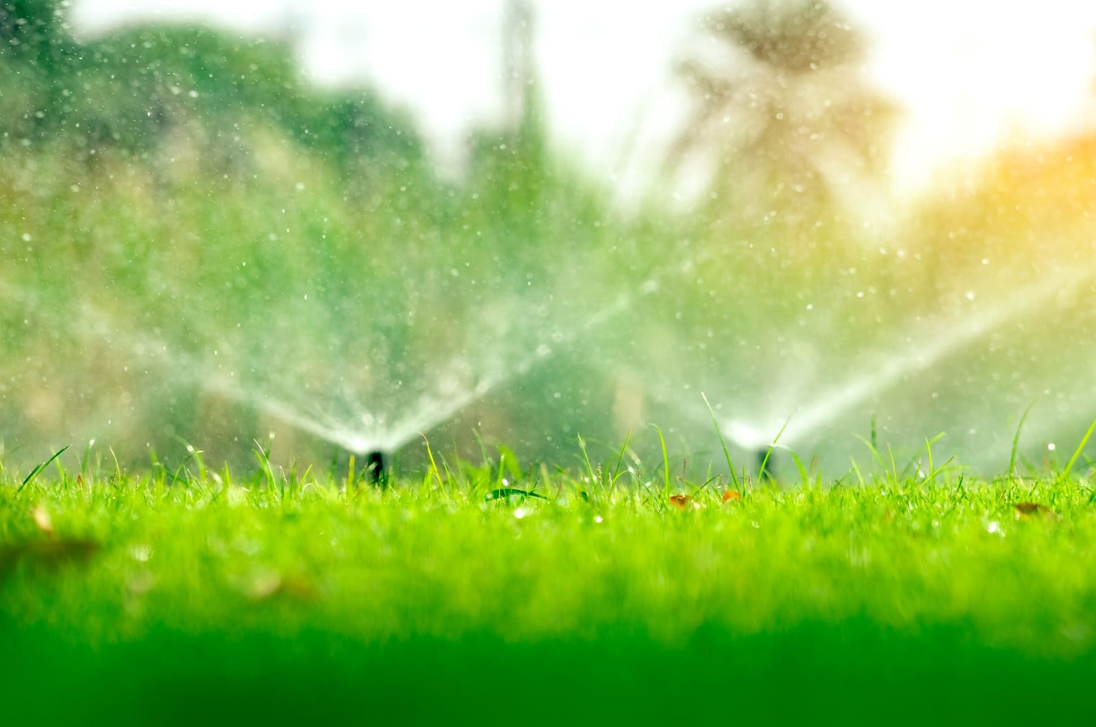 Irrigation and Drainage in Richardson, TX
