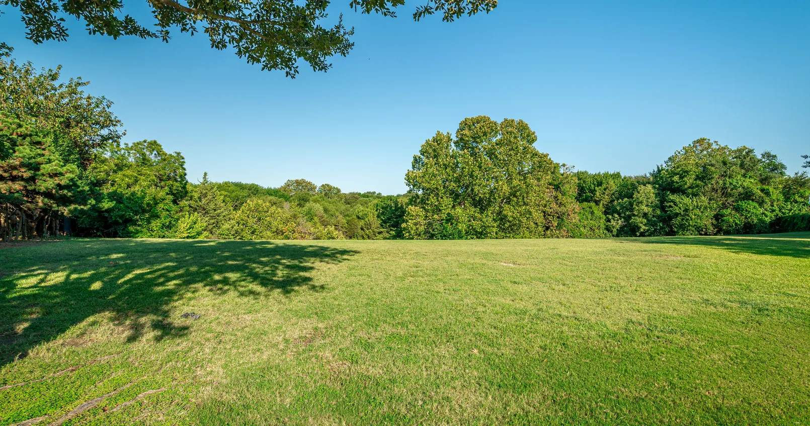 Irrigation and Drainage Solutions for Sustainable Landscaping Near Dallas, TX