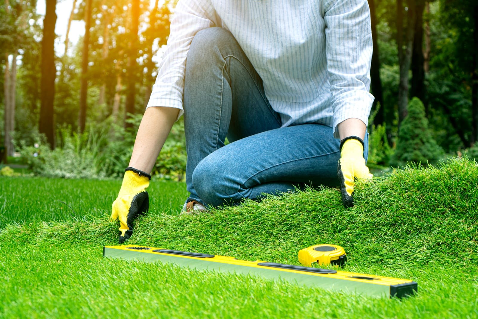 Lawn & Landscape Maintenance in Richardson, TX