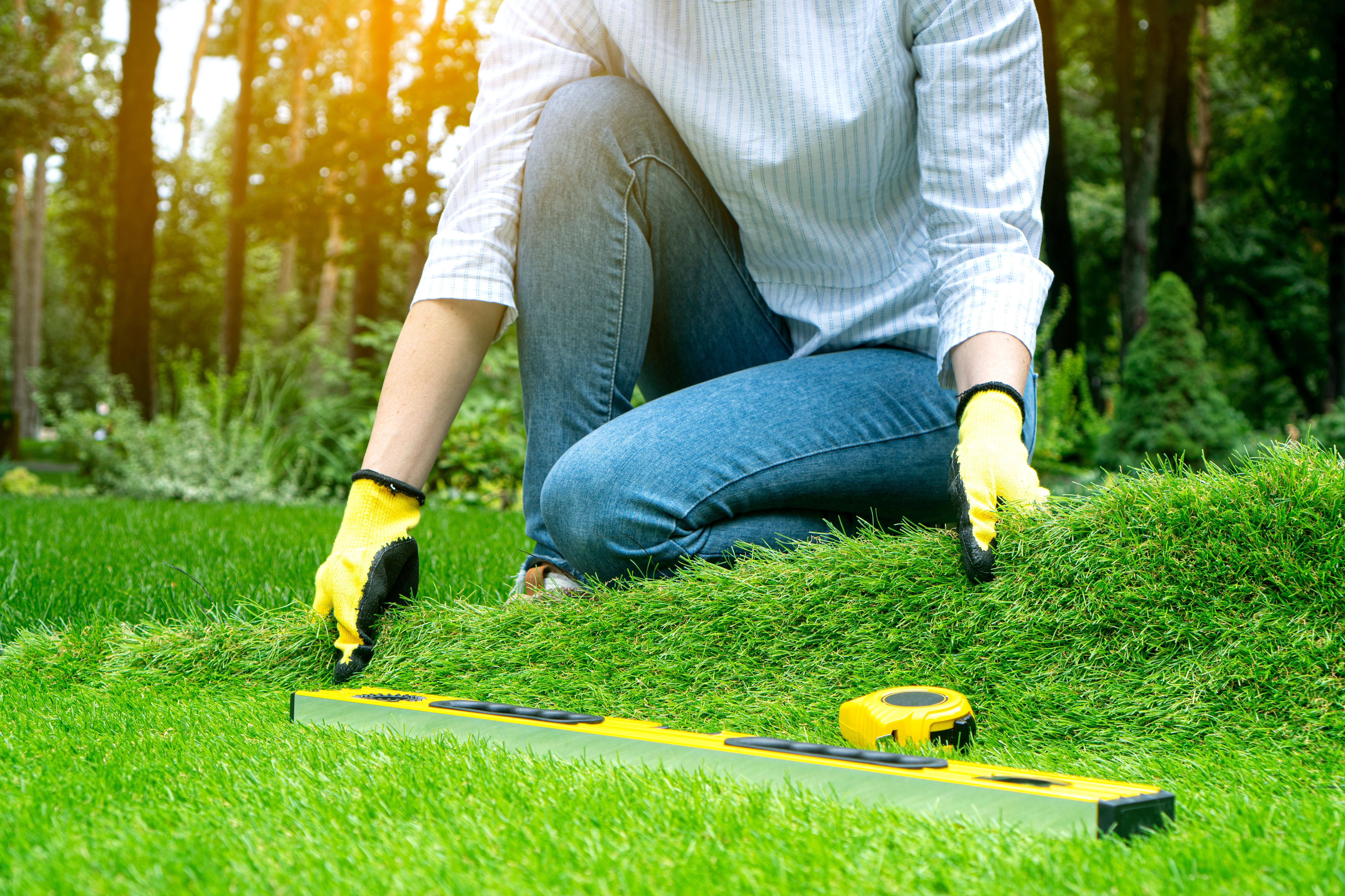 Lawn Landscape Maintenance Rockwall TX