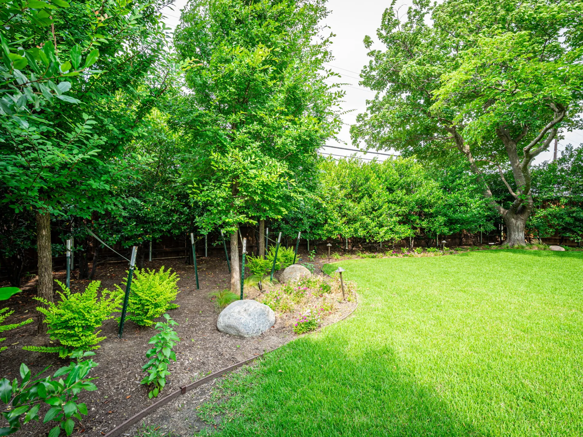 Lawn & Landscaping Maintenance