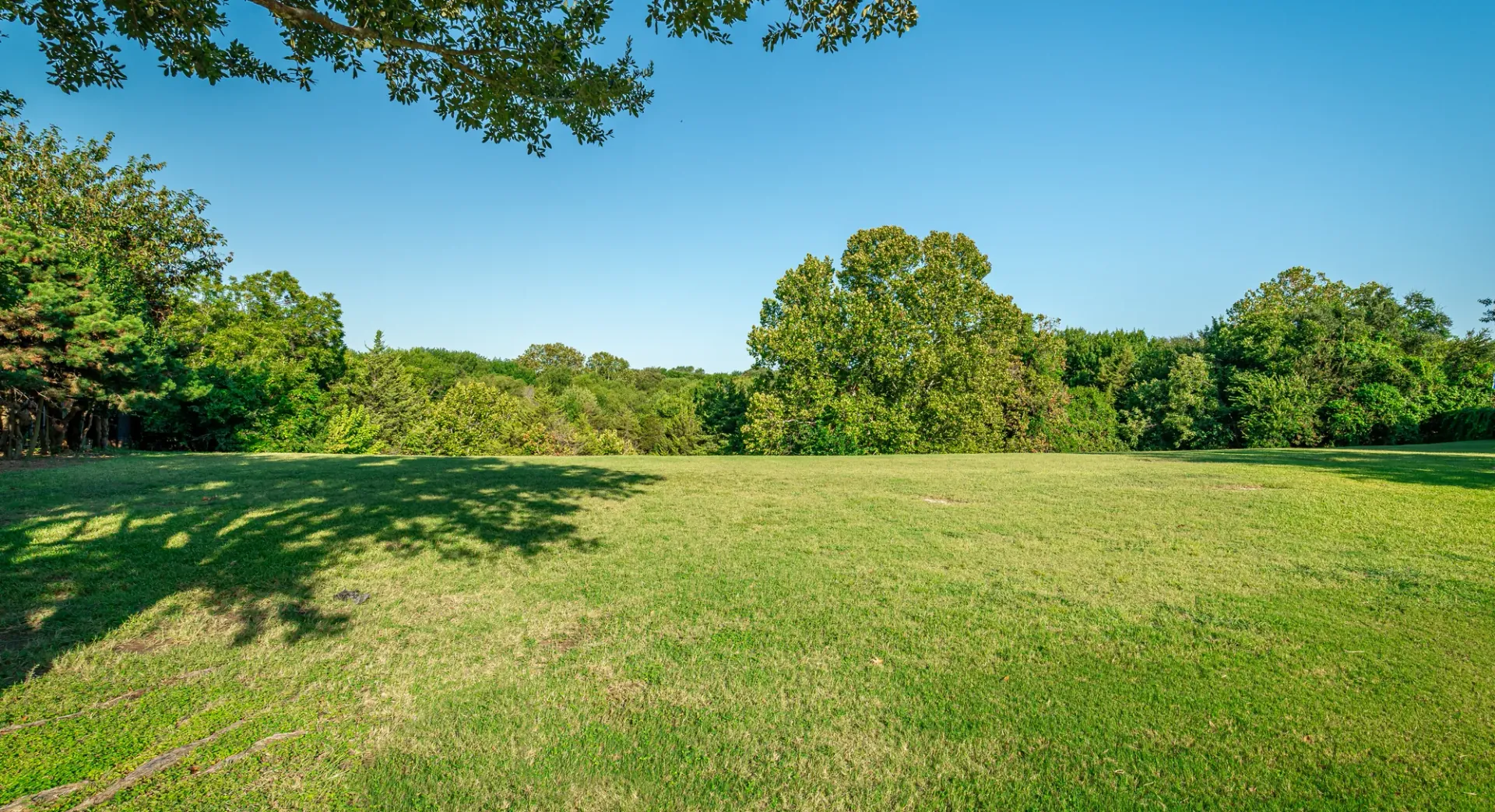 The Best Irrigation Systems for Sustainable Landscaping in Dallas, TX