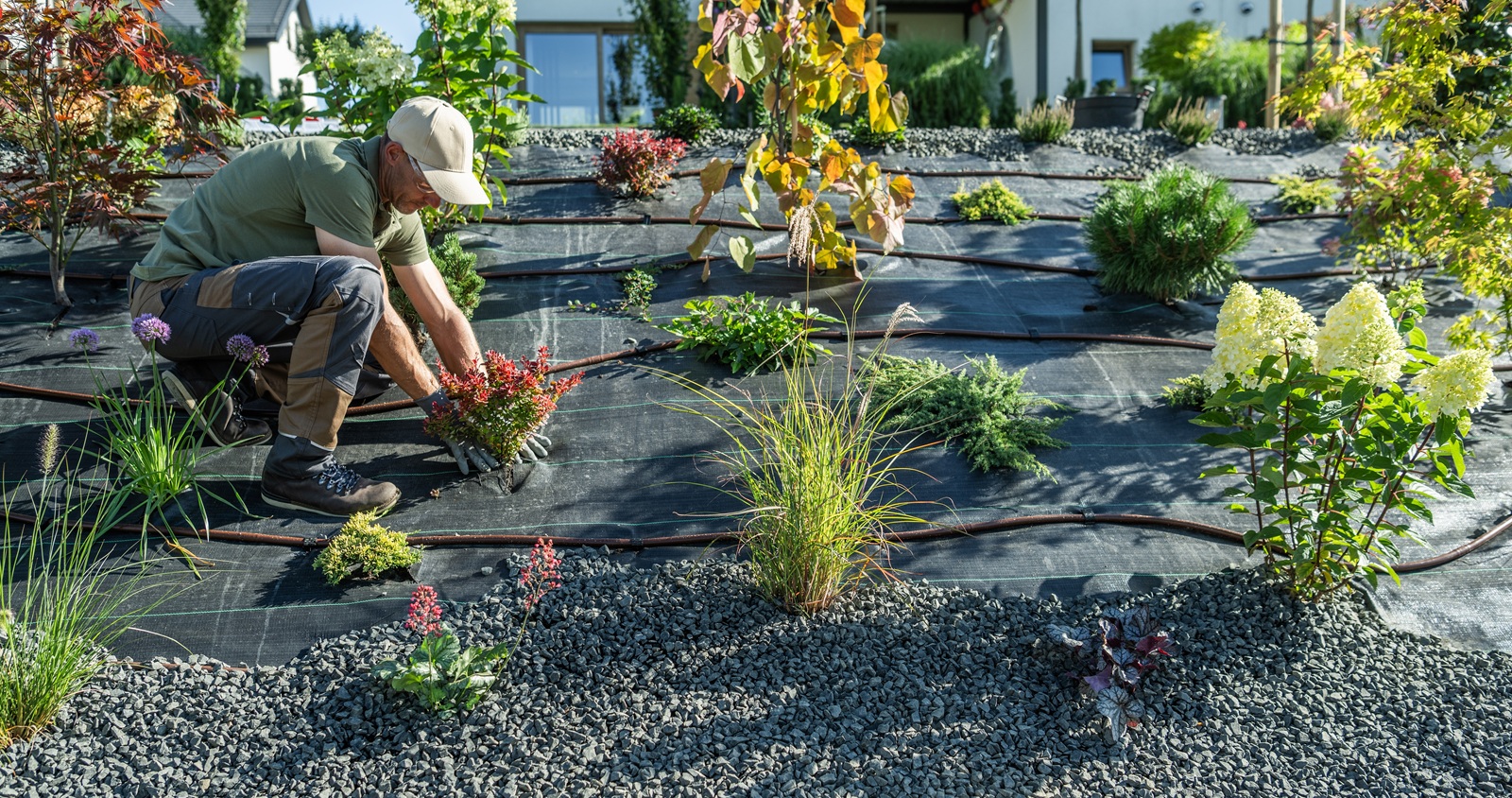 Why Plano and Dallas, TX Irrigation Systems Fail In The Summer and How to Fix Them