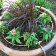 flower pot irrigation