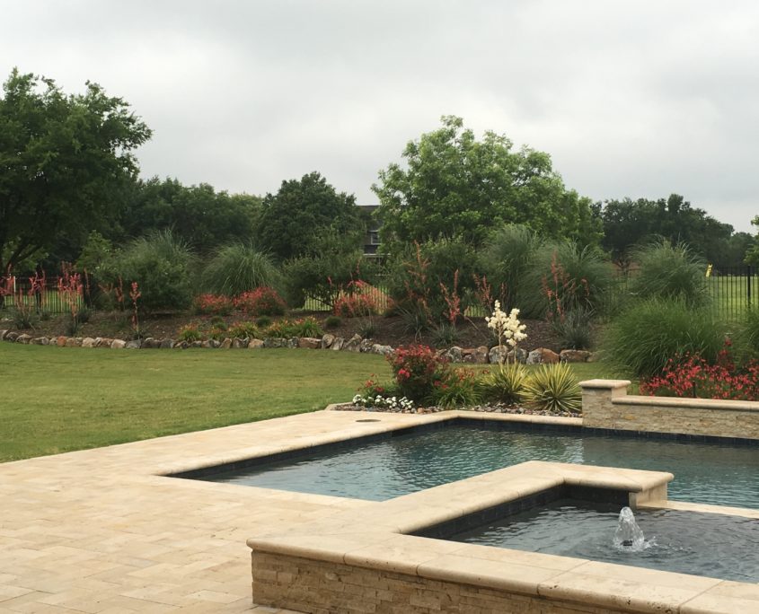 pool and backyard landscape