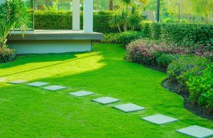 Landscaping Services in Dallas, TX