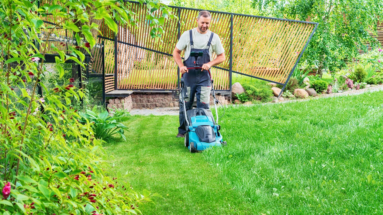 Professional Landscaping Services in Garland, TX