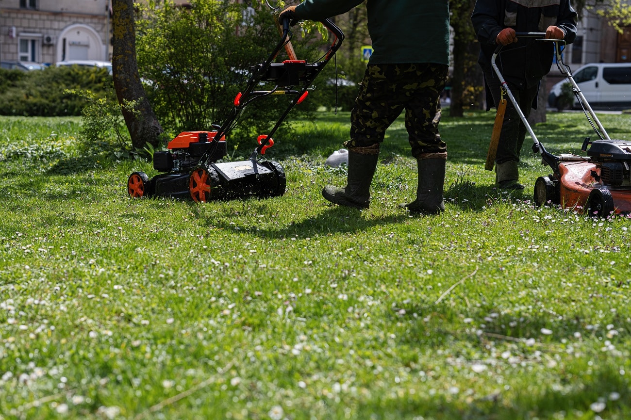 Landscaping Services in Highland Park, TX