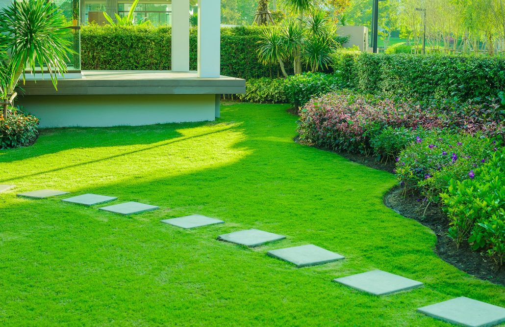 Landscaping Services in Plano, TX