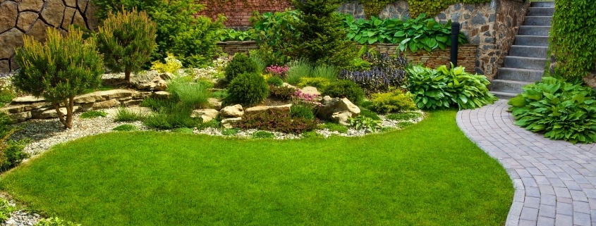 Irrigation and Drainage Solutions for Sustainable Landscaping Near Dallas, TX