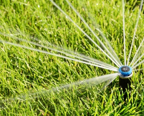 Creative Water Conservation Methods for Residential Landscapes