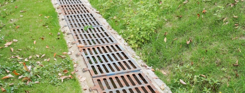 Advanced Drainage Solutions to Protect Your Landscape Investment in Dallas, TX