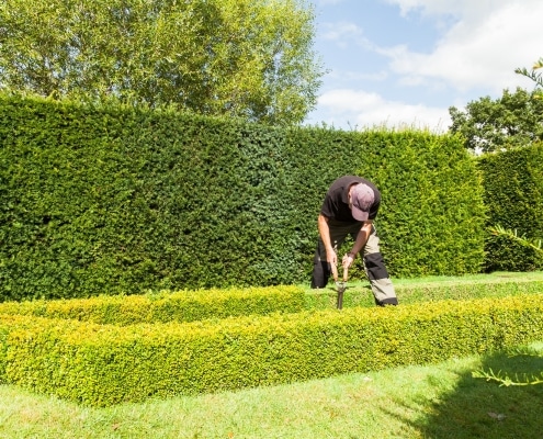 How to Choose the Right Landscape Maintenance Program in Dallas, TX
