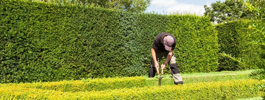 How to Choose the Right Landscape Maintenance Program in Dallas, TX