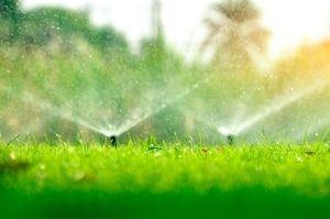 Irrigation and Drainage Services in Allen, TX