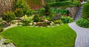 Landscaping Design & Installation Services in Allen, TX