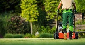 Landscaping Services Services in Allen, TX