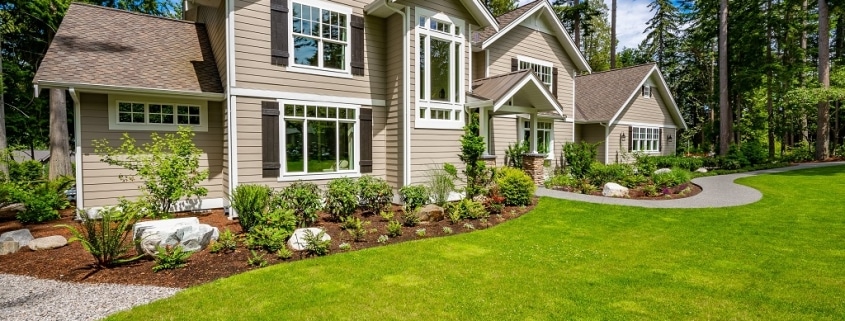 Affordable Landscaping Ideas for New Homeowners in Dallas, TX