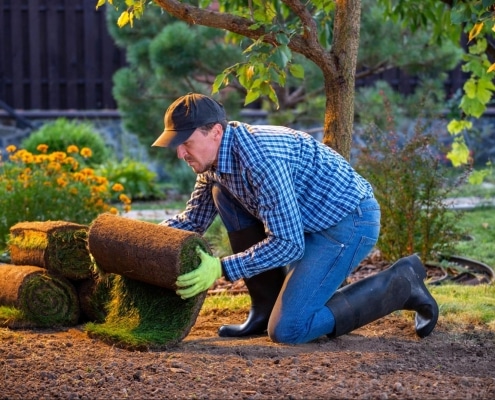 The Value of Hiring Local Landscape Designers for Custom Installations