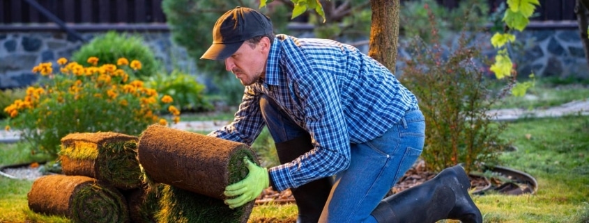 The Value of Hiring Local Landscape Designers for Custom Installations