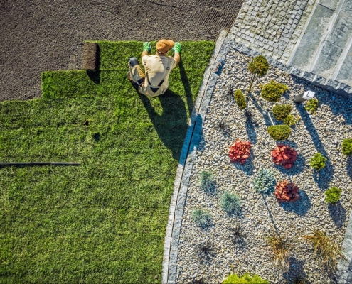 Expert Tips for Choosing the Right Landscaping Contractor in Dallas, TX