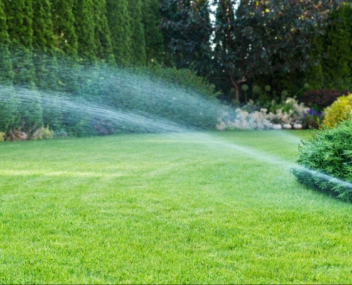 The Best Irrigation Systems for Sustainable Landscaping in Dallas, TX