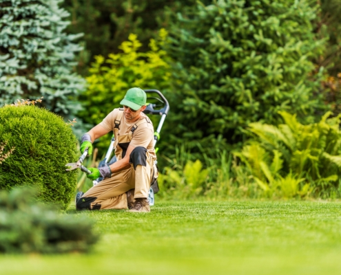 Healthy landscapes with professional maintenance in Dallas, TX