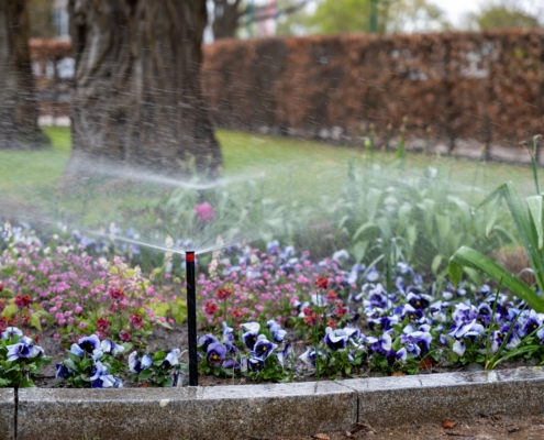 Smart irrigation solutions for Dallas landscapes