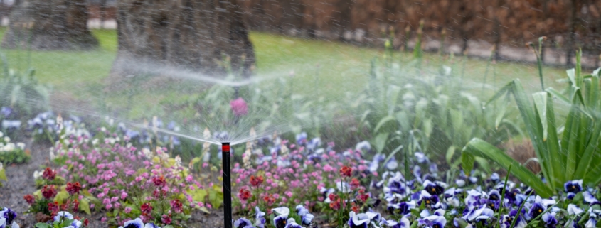 Smart irrigation solutions for Dallas landscapes