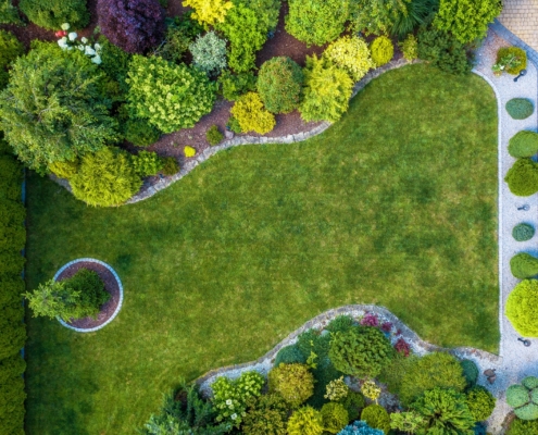 Combining Function and Form: How to Make Your Landscape Work Smarter in Dallas, TX