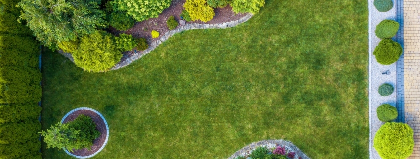 Combining Function and Form: How to Make Your Landscape Work Smarter in Dallas, TX