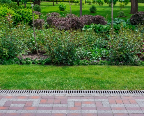 Protect Your Home and Yard with Professional Landscape Drainage Services in Highland Park, Dallas, TX