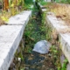 How Poor Drainage Shortens the Life of Landscape Installations in Dallas and Highland Park, TX