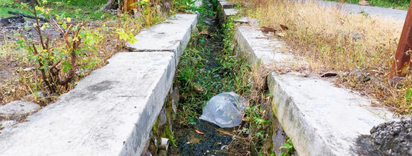 How Poor Drainage Shortens the Life of Landscape Installations in Dallas and Highland Park, TX