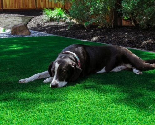 Synthetic Turf for Pets vs. Play Areas in Dallas and Lake Highlands, TX Design Considerations That Matter